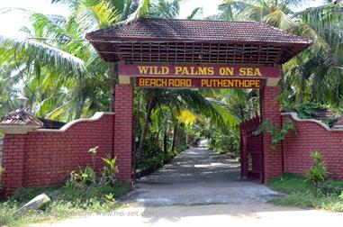 Wild Palms on Sea Hotel, Trivandrum,_DSC_8788_H600